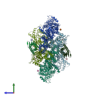 PDB entry 5vhy coloured by chain, side view.