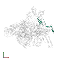 RNA polymerase-binding protein RbpA in PDB entry 5vi8, assembly 1, front view.