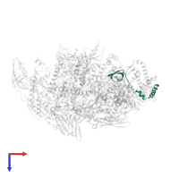 RNA polymerase-binding protein RbpA in PDB entry 5vi8, assembly 1, top view.