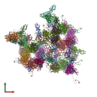 A Unique Role of the Human Cytomegalovirus Small Capsid Protein in