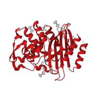 The deposited structure of PDB entry 5vle contains 2 copies of CATH domain 3.40.710.10 (Beta-lactamase) in Beta-lactamase. Showing 1 copy in chain A.