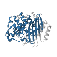 The deposited structure of PDB entry 5vle contains 2 copies of Pfam domain PF13354 (Beta-lactamase enzyme family) in Beta-lactamase. Showing 1 copy in chain A.