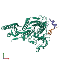 PDB entry 5vll coloured by chain, front view.