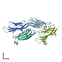 PDB entry 5vna coloured by chain, front view.