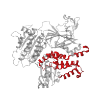 The deposited structure of PDB entry 5vni contains 1 copy of CATH domain 1.20.120.730 (Four Helix Bundle (Hemerythrin (Met), subunit A)) in Protein transport protein Sec23A. Showing 1 copy in chain A.