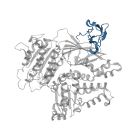 The deposited structure of PDB entry 5vni contains 1 copy of CATH domain 2.30.30.380 (SH3 type barrels.) in Protein transport protein Sec23A. Showing 1 copy in chain A.