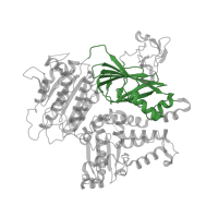 The deposited structure of PDB entry 5vni contains 1 copy of CATH domain 2.60.40.1670 (Immunoglobulin-like) in Protein transport protein Sec23A. Showing 1 copy in chain A.