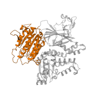 The deposited structure of PDB entry 5vni contains 1 copy of CATH domain 3.40.50.410 (Rossmann fold) in Protein transport protein Sec23A. Showing 1 copy in chain A.