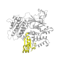 The deposited structure of PDB entry 5vni contains 1 copy of Pfam domain PF00626 (Gelsolin repeat) in Protein transport protein Sec23A. Showing 1 copy in chain A.