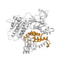 The deposited structure of PDB entry 5vni contains 1 copy of Pfam domain PF04815 (Sec23/Sec24 helical domain) in Protein transport protein Sec23A. Showing 1 copy in chain A.