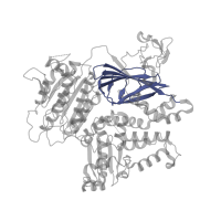 The deposited structure of PDB entry 5vni contains 1 copy of Pfam domain PF08033 (Sec23/Sec24 beta-sandwich domain) in Protein transport protein Sec23A. Showing 1 copy in chain A.
