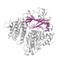 The deposited structure of PDB entry 5vni contains 1 copy of CATH domain 2.60.40.1670 (Immunoglobulin-like) in Protein transport protein Sec24A. Showing 1 copy in chain B.