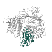 The deposited structure of PDB entry 5vni contains 1 copy of CATH domain 3.40.20.10 (Severin) in Protein transport protein Sec24A. Showing 1 copy in chain B.