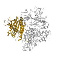 The deposited structure of PDB entry 5vni contains 1 copy of CATH domain 3.40.50.410 (Rossmann fold) in Protein transport protein Sec24A. Showing 1 copy in chain B.