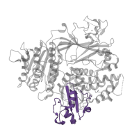 The deposited structure of PDB entry 5vni contains 1 copy of Pfam domain PF00626 (Gelsolin repeat) in Protein transport protein Sec24A. Showing 1 copy in chain B.