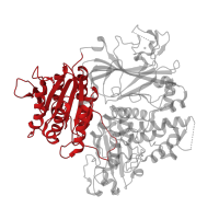 The deposited structure of PDB entry 5vni contains 1 copy of Pfam domain PF04811 (Sec23/Sec24 trunk domain) in Protein transport protein Sec24A. Showing 1 copy in chain B.