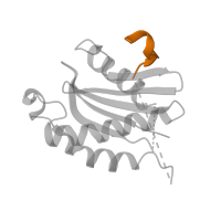 The deposited structure of PDB entry 5vni contains 1 copy of Pfam domain PF00957 (Synaptobrevin) in Vesicle-trafficking protein SEC22b. Showing 1 copy in chain C.