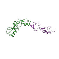 The deposited structure of PDB entry 5vo0 contains 3 copies of CATH domain 3.30.40.10 (Herpes Virus-1) in TNF receptor-associated factor 6. Showing 2 copies in chain D.