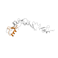 The deposited structure of PDB entry 5vo0 contains 2 copies of Pfam domain PF00097 (Zinc finger, C3HC4 type (RING finger)) in TNF receptor-associated factor 6. Showing 1 copy in chain D.