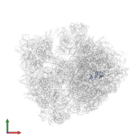 Large ribosomal subunit protein uL13 in PDB entry 5vpo, assembly 1, front view.