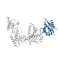 The deposited structure of PDB entry 5vqs contains 1 copy of CATH domain 3.30.420.10 (Nucleotidyltransferase; domain 5) in Reverse transcriptase/ribonuclease H. Showing 1 copy in chain A.