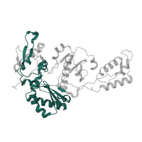 The deposited structure of PDB entry 5vqs contains 1 copy of Pfam domain PF00078 (Reverse transcriptase (RNA-dependent DNA polymerase)) in p51 RT. Showing 1 copy in chain B.