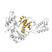 The deposited structure of PDB entry 5vqs contains 1 copy of Pfam domain PF06815 (Reverse transcriptase connection domain) in p51 RT. Showing 1 copy in chain B.