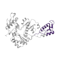 The deposited structure of PDB entry 5vqs contains 1 copy of Pfam domain PF06817 (Reverse transcriptase thumb domain) in p51 RT. Showing 1 copy in chain B.