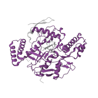 The deposited structure of PDB entry 5vus contains 2 copies of Pfam domain PF02898 (Nitric oxide synthase, oxygenase domain) in Nitric oxide synthase 1. Showing 1 copy in chain B.