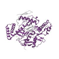 The deposited structure of PDB entry 5vuu contains 2 copies of Pfam domain PF02898 (Nitric oxide synthase, oxygenase domain) in Nitric oxide synthase 1. Showing 1 copy in chain B.