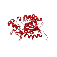 The deposited structure of PDB entry 5vve contains 2 copies of CATH domain 3.40.50.1240 (Rossmann fold) in Phosphoglycerate mutase. Showing 1 copy in chain B.