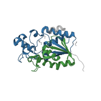 The deposited structure of PDB entry 5vve contains 4 copies of Pfam domain PF00300 (Histidine phosphatase superfamily (branch 1)) in Phosphoglycerate mutase. Showing 2 copies in chain B.