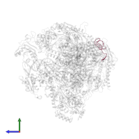 DNA-directed RNA polymerases I, II, and III subunit RPABC4 in PDB entry 5vvr, assembly 1, side view.