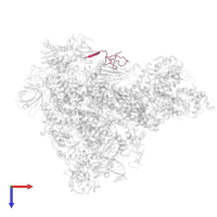 DNA-directed RNA polymerases I, II, and III subunit RPABC4 in PDB entry 5vvr, assembly 1, top view.