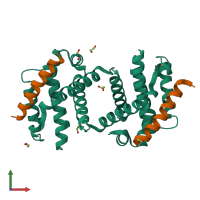 Hetero tetrameric assembly 2 of PDB entry 5vx3 coloured by chemically distinct molecules, front view.