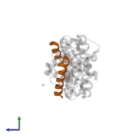 Bcl-2-like protein 11 in PDB entry 5vx3, assembly 1, side view.