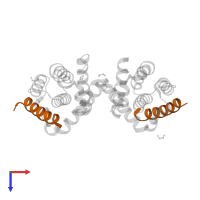 Bcl-2-like protein 11 in PDB entry 5vx3, assembly 1, top view.