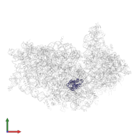 Malignant T-cell-amplified sequence 1 in PDB entry 5vyc, assembly 1, front view.