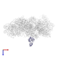 Malignant T-cell-amplified sequence 1 in PDB entry 5vyc, assembly 1, top view.