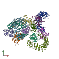 PDB entry 5w0w coloured by chain, front view.