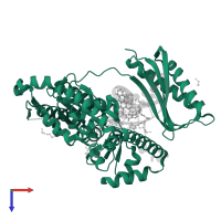 DNA polymerase kappa in PDB entry 5w2c, assembly 1, top view.