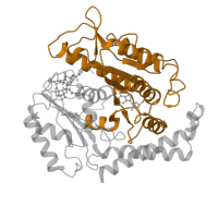 The deposited structure of PDB entry 5w3j contains 1 copy of Pfam domain PF00091 (Tubulin/FtsZ family, GTPase domain) in Tubulin beta chain. Showing 1 copy in chain B.