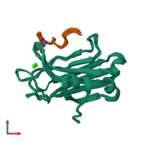 PDB entry 5w4s coloured by chain, ensemble of 20 models, front view.