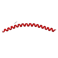 The deposited structure of PDB entry 5w5c contains 1 copy of CATH domain 1.20.5.110 (Single alpha-helices involved in coiled-coils or other helix-helix interfaces) in Synaptosomal-associated protein 25. Showing 1 copy in chain D.