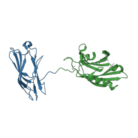 The deposited structure of PDB entry 5w5c contains 2 copies of CATH domain 2.60.40.150 (Immunoglobulin-like) in Synaptotagmin-1. Showing 2 copies in chain F.