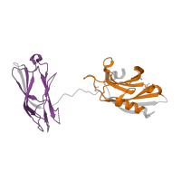 The deposited structure of PDB entry 5w5c contains 2 copies of Pfam domain PF00168 (C2 domain) in Synaptotagmin-1. Showing 2 copies in chain F.