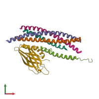 PDB entry 5w5d coloured by chain, front view.