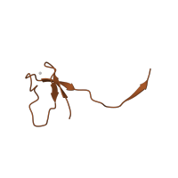 The deposited structure of PDB entry 5w5y contains 1 copy of CATH domain 2.20.28.30 (Rubrerythrin, domain 2) in DNA-directed RNA polymerases I, II, and III subunit RPABC4. Showing 1 copy in chain L.