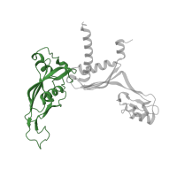 The deposited structure of PDB entry 5w5y contains 1 copy of CATH domain 2.170.120.12 (RNA Polymerase Alpha Subunit; Chain A, domain 2) in DNA-directed RNA polymerases I and III subunit RPAC1. Showing 1 copy in chain C.