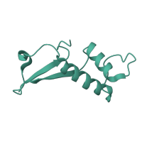 The deposited structure of PDB entry 5w5y contains 1 copy of CATH domain 3.90.940.10 (Eukaryotic RPB6 RNA polymerase subunit) in DNA-directed RNA polymerases I, II, and III subunit RPABC2. Showing 1 copy in chain F.